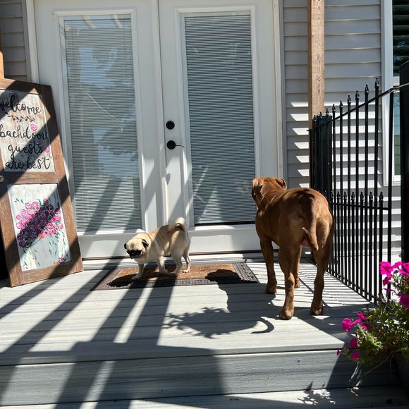 Meet your Posher, Andrea jameson - Picture 13 of 16